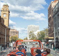 Hobart Hop-On Hop-Off Bus  kunanyi/Mt Wellington Tour - Accommodation BNB