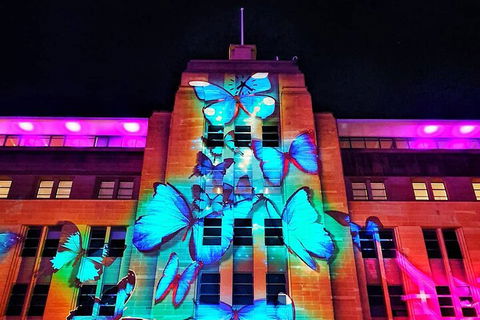 Vivid 90-Minute Sydney Harbour Small Group Catamaran Cruise - Accommodation BNB 0