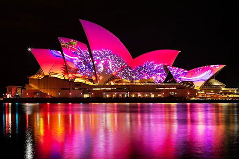 Vivid 90-Minute Sydney Harbour Small Group Catamaran Cruise - Accommodation BNB 1