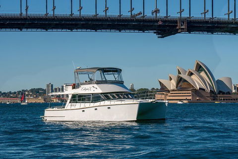 Vivid 90-Minute Sydney Harbour Small Group Catamaran Cruise - Accommodation BNB 2