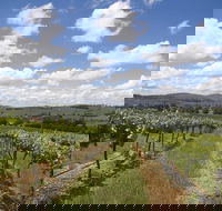 Hunter Valley Wine Tour from Sydney incl Lunch Cheese Chocolate and Distillery - Accommodation BNB
