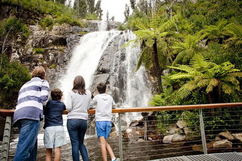 Lake Mountain Snow Trip Including Yarra Valley Chocolaterie From Melbourne - Accommodation BNB 0
