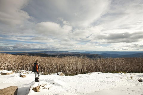 Lake Mountain Snow Trip Including Yarra Valley Chocolaterie From Melbourne - Accommodation BNB 5