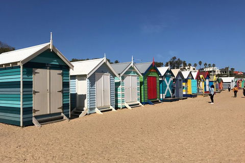 Phillip Island Penguin Parade, Brighton Bathing Boxes And Wildlife Park Tour - Accommodation BNB 3