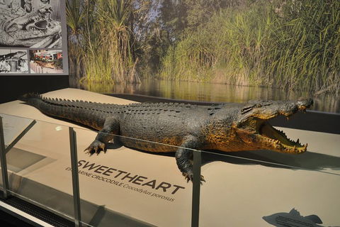 Explore Darwin City Sights Including Key Attractions - Accommodation BNB 2