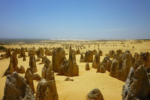 Pinnacles Desert Private Tour - Accommodation BNB 2