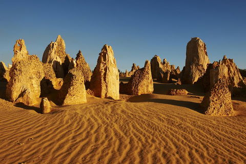 Pinnacles Desert Private Tour - Accommodation BNB 4