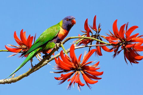 Half Day Perth & Fremantle Highlights - Accommodation BNB 2