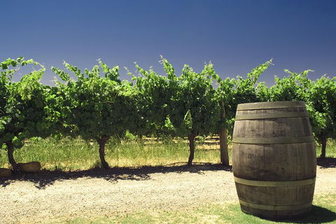 Swan Valley Private Tour - Accommodation BNB 4