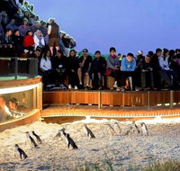 Great Ocean Road  Phillip Island - 3 Days 2 Nights