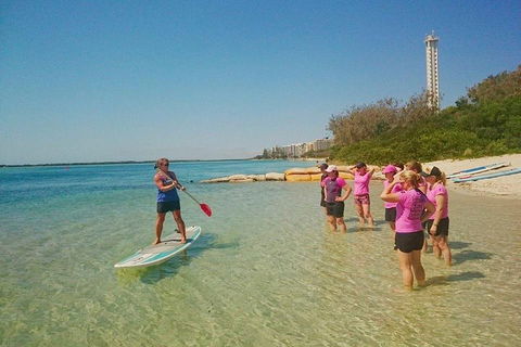 Golden Beach 1-Hour Stand-Up Paddleboard Hire On The Sunshine Coast - Accommodation BNB 1