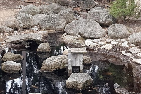 Bendigo, Echuca & The Mighty Murray - Accommodation BNB 1