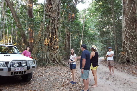 Great Beach Drive 4WD Tour - Private Charter From Noosa To Rainbow Beach - Accommodation BNB 1