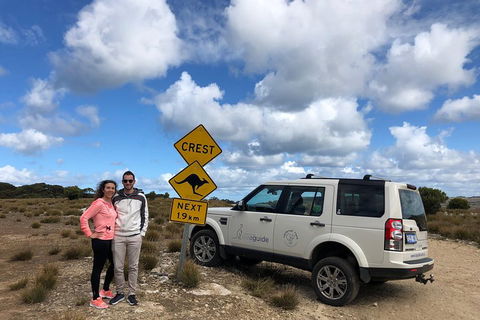 Kangaroo Island 4WD Tour - Best Of KI - Accommodation BNB 5