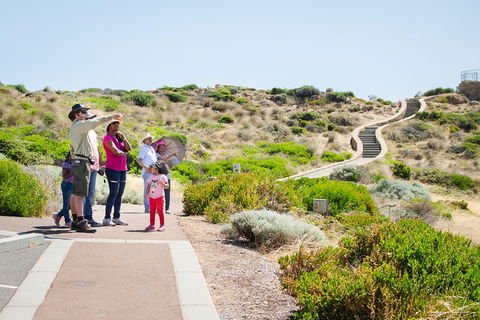 Margaret River Coastal And Wildlife Eco Trip From Busselton Or Dunsborough - Accommodation BNB 0