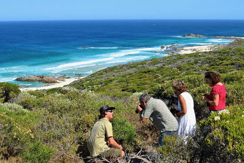 Margaret River Coastal And Wildlife Eco Trip From Busselton Or Dunsborough - Accommodation BNB 2