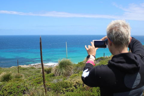 Margaret River Coastal And Wildlife Eco Trip From Busselton Or Dunsborough - Accommodation BNB 3