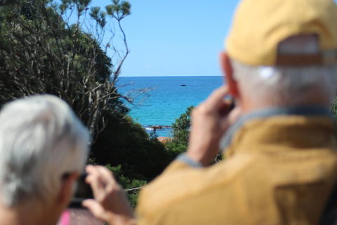 Margaret River Coastal And Wildlife Eco Trip From Busselton Or Dunsborough - Accommodation BNB 5